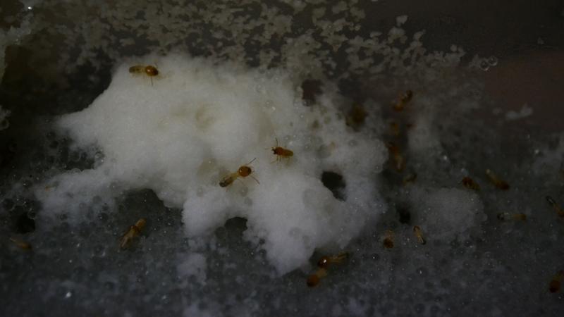 Photo : Purabi Deshpande / Research Matters Photo : Purabi Deshpande / Research Matters