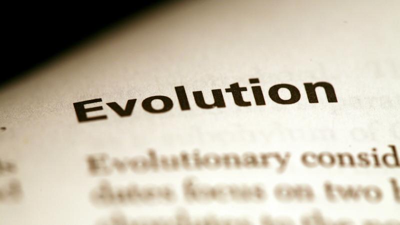 The second Indo-Swiss Meeting on Evolutionary Biology begins today The second Indo-Swiss Meeting on Evolutionary Biology begins today