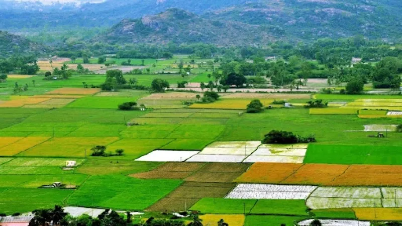 Image Credits: Raj / Flickr / Wikimedia under the CC Attribution 2.0 Generic license Do Small Farms Outperform Big Ones? A Study Reveals Changes Over 40 Years in India