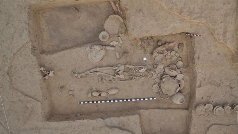 Skeletal remains analysed in the study. Image credits: Vasant Shinde Where did we Indians come from?