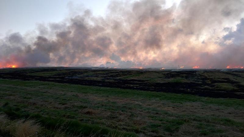 Stubble burning: USD 30 billion goes up in flames each year for India, says study Stubble burning: USD 30 billion goes up in flames each year for India, says study