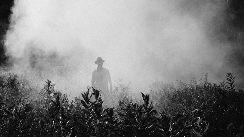 The art of crafting insect-specific pesticides using machine learning The art of crafting insect-specific pesticides using machine learning