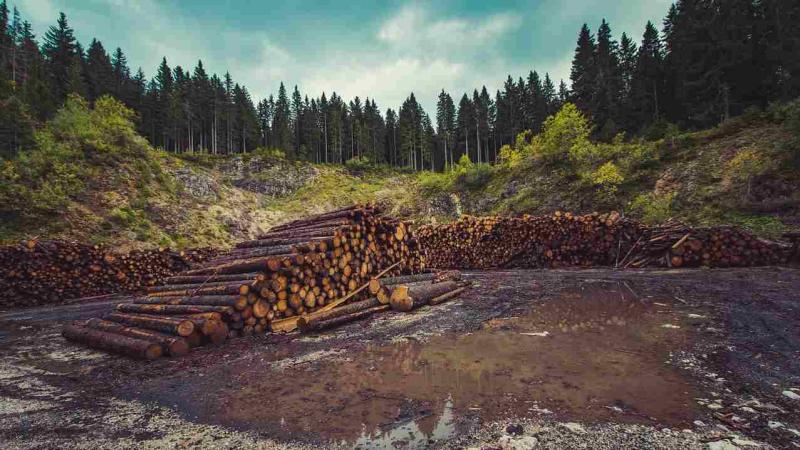 Researchers identify hotspots and coolspots of human activities threatening wildlife Researchers identify hotspots and coolspots of human activities threatening wildlife