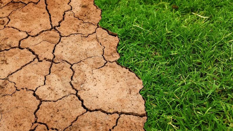 World’s inequality increased by global warming, reports study World’s inequality increased by global warming, reports study