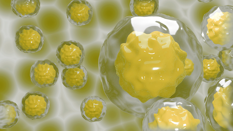 New insights in stem cell therapy New insights in stem cell therapy