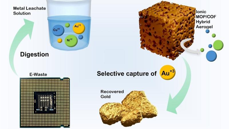 Schematic of gold extraction with MOP/COF aerogel. Credit: Majumder, Dipanjan, et al. "Nano-Springe Enriched Hierarchical Porous MOP/COF Hybrid Aerogel: Efficient Recovery of Gold from Electronic Waste." Angewandte Chemie International Edition Schematic of gold extraction with MOP/COF aerogel. Credit: Majumder, Dipanjan, et al. "Nano-Springe Enriched Hierarchical Porous MOP/COF Hybrid Aerogel: Efficient Recovery of Gold from Electronic Waste." Angewandte Chemie International Edition