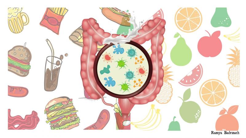 Image credits - Ramya Badrinath Study shows how nurturing gut microbes can address malnutrition