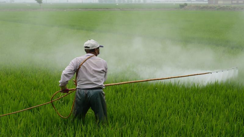 Bacterial remedy for the toxic pesticide Carbaryl