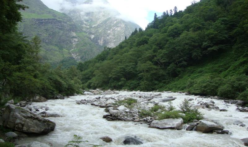 Himalayan forest, Uttarakhand. Photo- Sudhira H S Toxic elements, released since the Industrial Revolution, find their way to the Himalayas