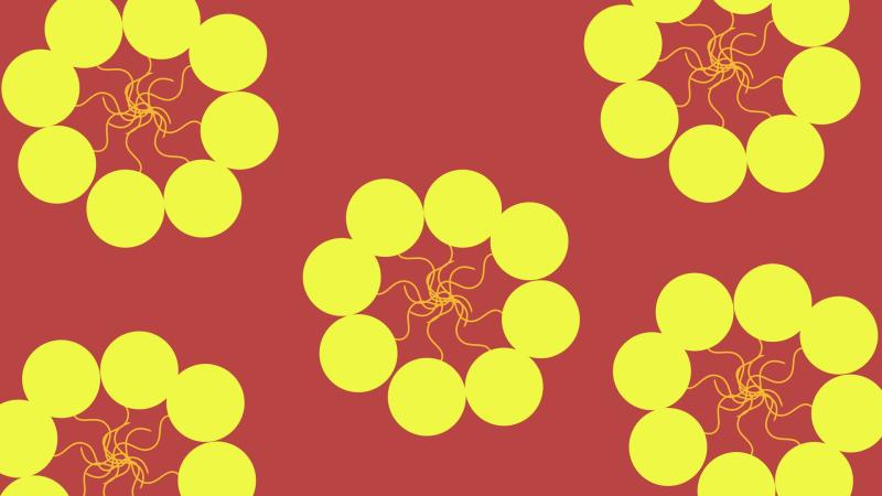 Illustration : Purabi Deshpande / Research Matters Illustration : Purabi Deshpande / Research Matters