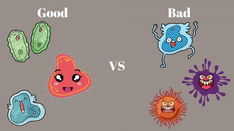 Fighting bad bacteria in the gut using protein microbeads Scientists from ICAR-NDRI, Karnal, observed the competition between natural gut bacteria and pathogenic bacteria to produce microbeads that have the potential to fight pathogenic bacteria.