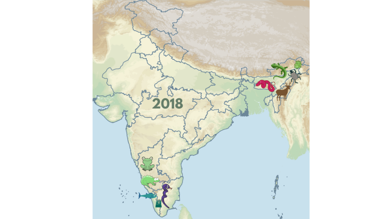 Image: Vignesh Kamath/ Research Matters Image: Vignesh Kamath/ Research Matters