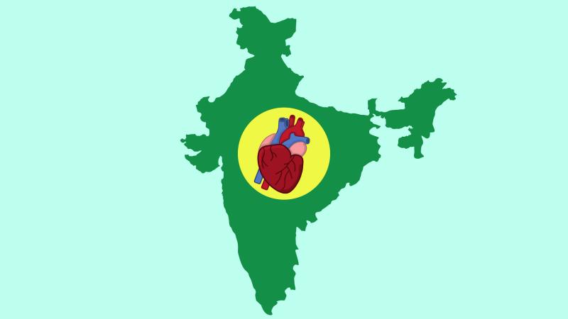 Illustration : Purabi Deshpande / Research Matters Illustration : Purabi Deshpande / Research Matters