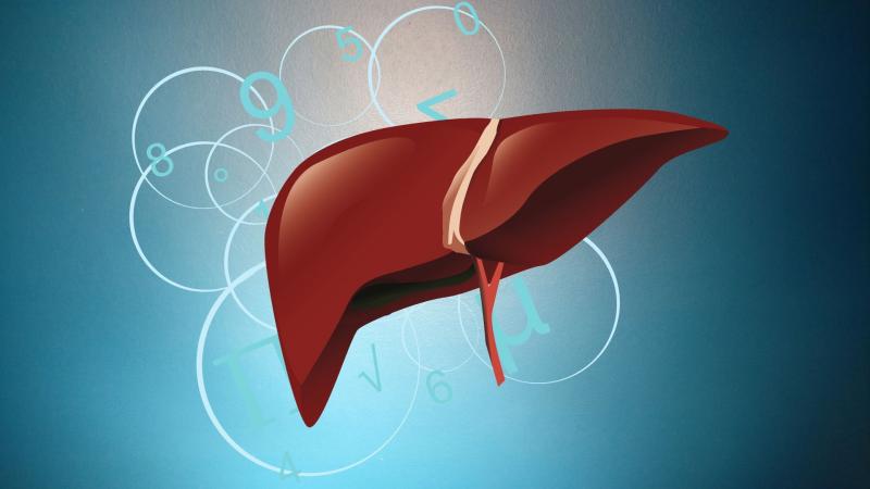 IISc researchers use mathematics to crack down on drug-resistant hepatitis C virus IISc researchers use mathematics to crack down on drug-resistant hepatitis C virus