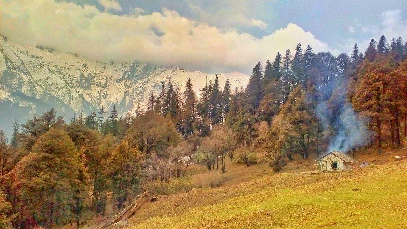 Image credits: Er.ashu.88 / CC BY-SA 4.0 Warming climate is changing the alpine vegetation of the lofty Himalayas