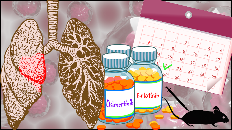 Now, a pill-a-day of a lung cancer drug may not be the required protocol to suppress regrowths Study finds popping a weekly cancer pill instead of daily is enough to prevent regrowths