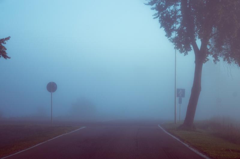 Image by Maksim ŠiŠlo via Unsplash Looking through the fog