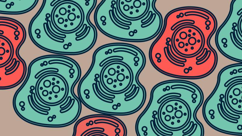 Illustration : Purabi Deshpande / Research Matters Illustration : Purabi Deshpande / Research Matters
