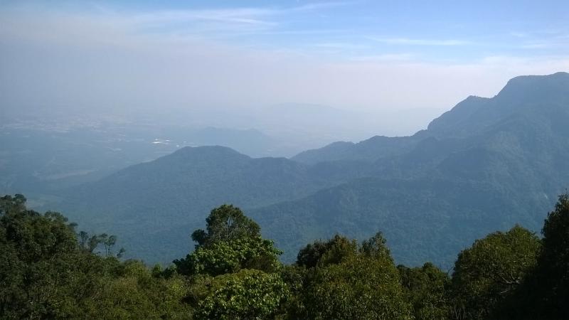 Nilgiri HIlls | Credit - Kirubanidhi Suba, wikimedia commons, CC-BY-SA 4.0 Fostered by frost for years, shola grasslands now threatened by invasive plants and the warming climate