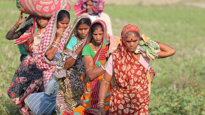 Too heavy a burden? Onus of farm labour on women may be contributing to malnourishment in India, says study Too heavy a burden? Onus of farm labour on women may be contributing to malnourishment in India, says study