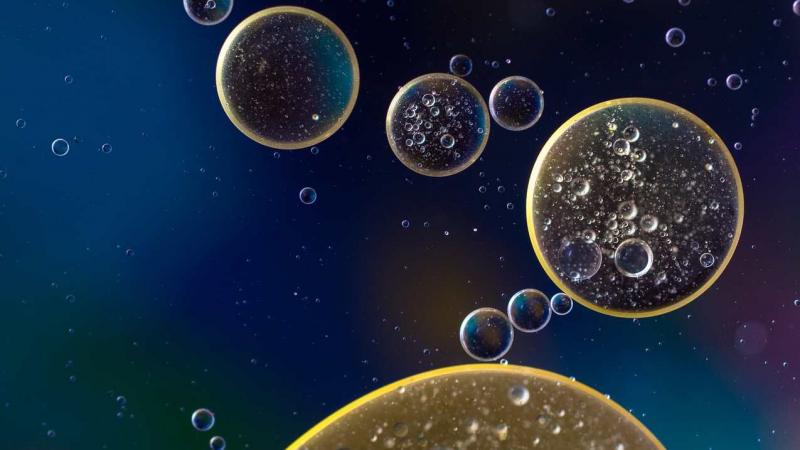 The dance of drops Researchers from the Indian Institute of Technology Bombay (IIT Bombay) suggest that better conductivity of oil may help water droplets come together.