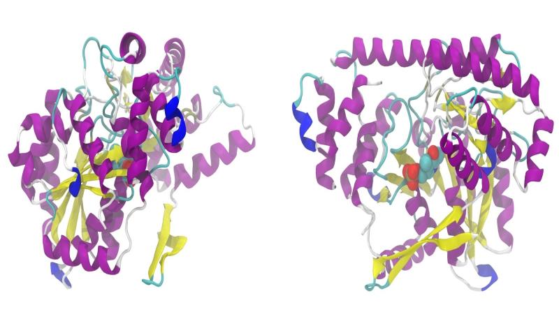 Image for representation only. What causes tau to tangle?