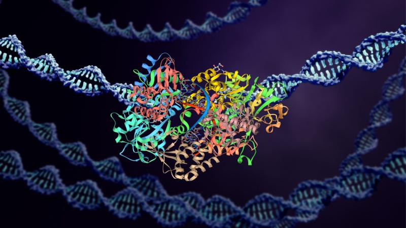 Representative image Proteins and DNA