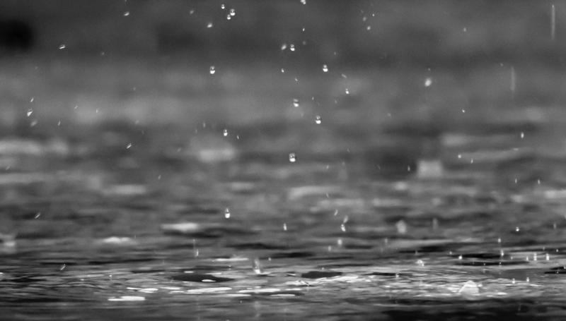 Photo: reza shayestehpour / unsplash