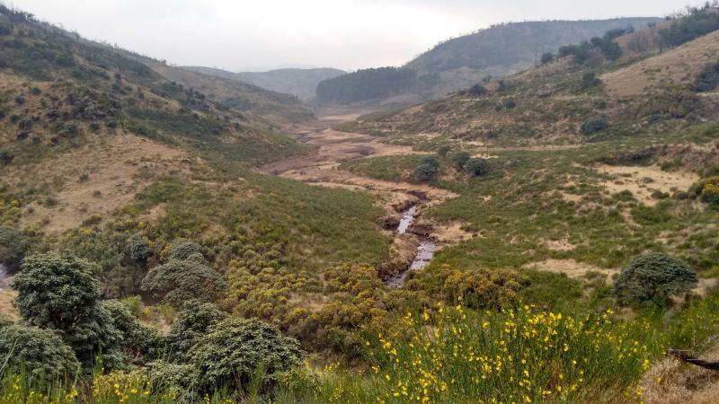 Nilgiri HIlls, Ooty. Image credits - H S Sudhira Study provides insights into natural radioactivity in the Western Ghats
