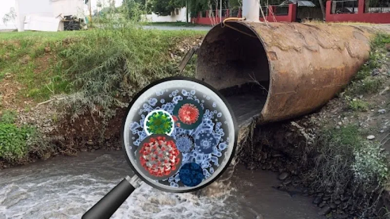 Wastewater Health Surveillance: Tracking Flu, RSV, and COVID-19 Variants from the Sewers Up Wastewater Health Surveillance: Tracking Flu, RSV, and COVID-19 Variants from the Sewers Up