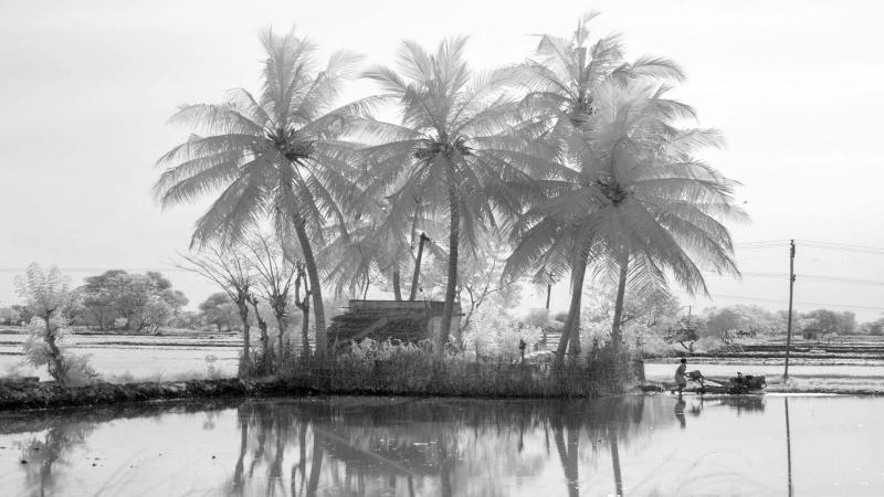 Photo by V Srinivasan Slipping away from the surface: Impact of Kerala 2018 floods on soil erosion