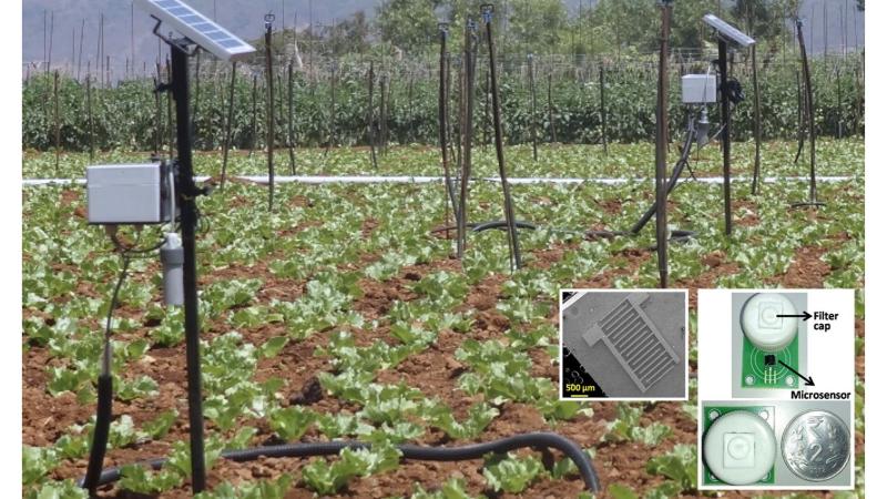 Image credits : IIT Bombay Better Soil Moisture Sensors using Graphene Oxide