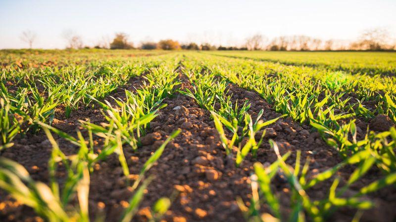 Photo by Jan Kopřiva on Unsplash Soil check: How much water does your soil contain?