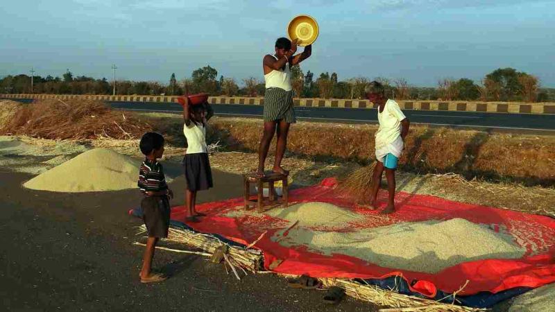 भारत में तापमान बढ़ने से फसल उत्पादन के लिए खतरा हो सकती है। भारत में तापमान बढ़ने से फसल उत्पादन के लिए खतरा हो सकती है।