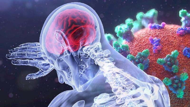 Image Credits: VSRao from Pixabay and Fusion Medical Animation on Unsplash, edited. Study finds challenges posed by COVID-19 for stroke care in India