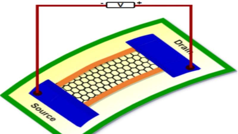 Representative image of a Xene placed between two contacts on a flexible substrate. Credits: Authors of the study Representative image of a Xene placed between two contacts on a flexible substrate. Credits: Authors of the study