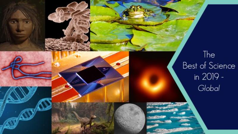 A journey through the year for science in 2019 A journey through the year for science in 2019