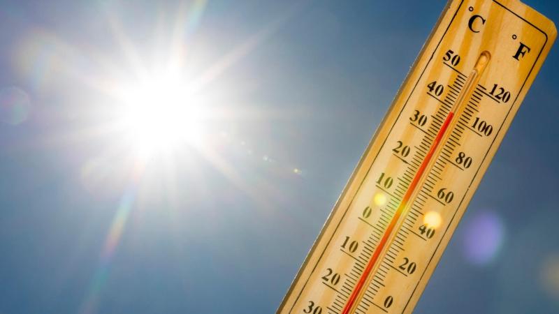 Image credits - Canva India's new heat wave prediction system could be our first line of defence against the scorching heat