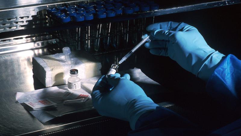 Local information on disease outbreaks help in the success of voluntary vaccination programs, suggests study Local information on disease outbreaks help in the success of voluntary vaccination programs, suggests study