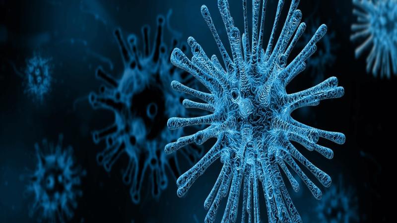 Image for representational purpose only. Designing drugs for the deadly Nipah virus