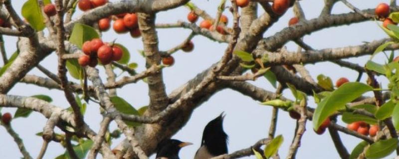 Photo : Purabi Deshpande / Research Matters