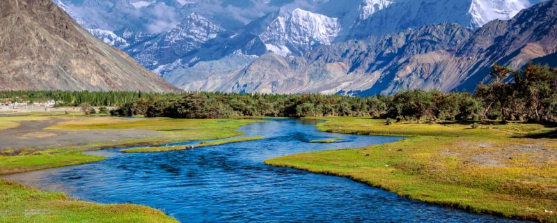 Himalayan Stream 