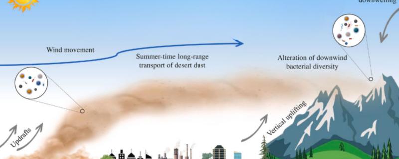 Graphical representation of dust transport