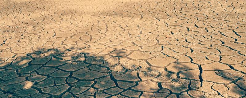 Degraded Land