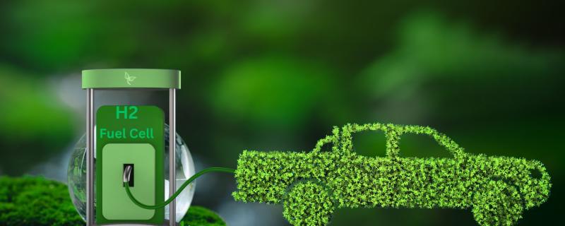 Green Car powered by Fuel Cell