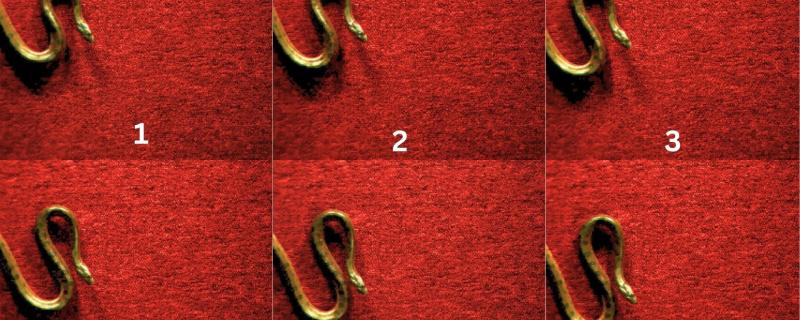 Progression of the S-start in a young yellow anaconda.