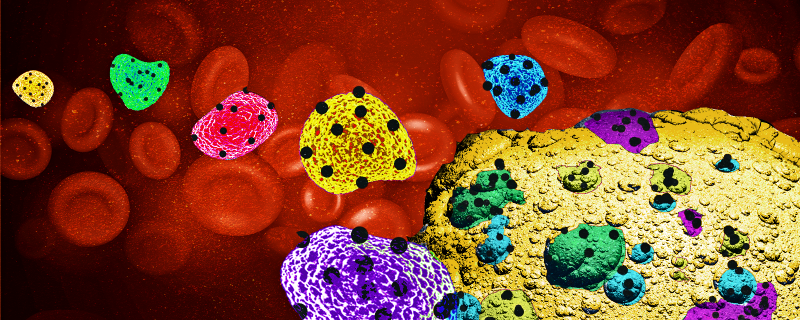 Cancer Invasion: Mixed Cells Make More Headway
