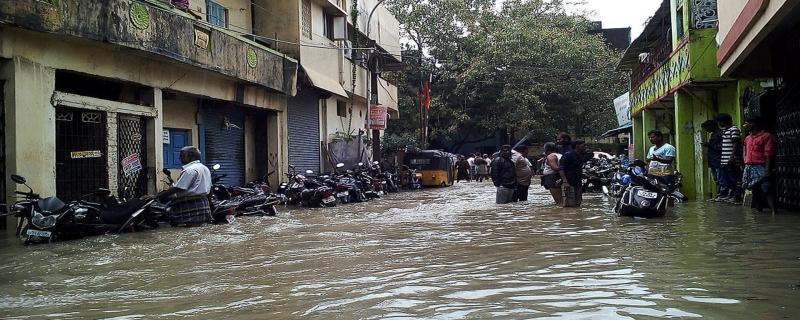 पूर परिस्थितीवर मात करण्यासाठी ‘तज्ञ’ तोडगा 
