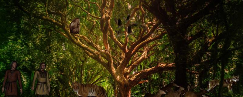 A holistic approach to biodiversity conservation