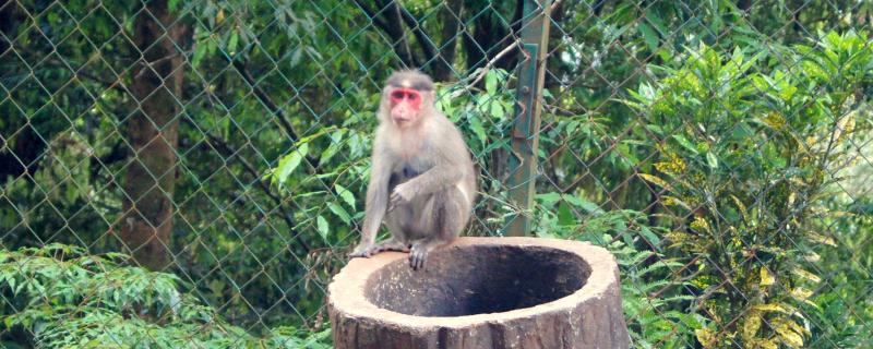 Photo : Siddharth Kankaria / Research Mattrs